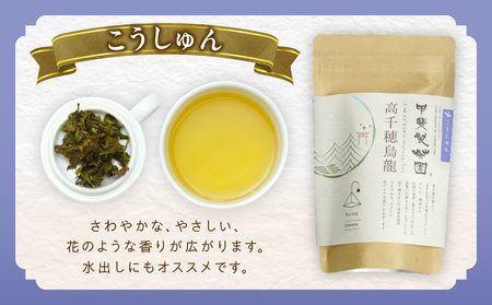【国産烏龍茶】高千穂烏龍（ティーパック）2種4袋セット みなみさやか12包×2袋＆こうしゅん12包×2袋 国産 烏龍茶 お茶 みなみさやか こうしゅん 茶葉 ティーパック 飲み物 ティータイム さわや
