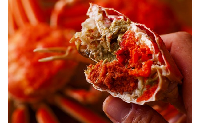 【蟹の匠 魚政】内子外子が美味! 茹でたて セイコガニ（セコ蟹）（香箱ガニ）（こっぺ）小サイズ 10匹セット