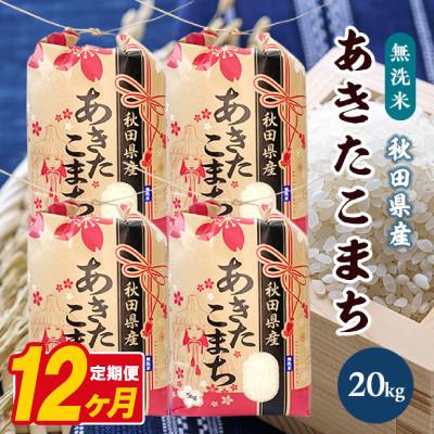 ふるさと納税 八郎潟町 【毎月定期便】あきたこまち 20kg(5kg×4袋)【精米・無洗米】 秋田県産全12回