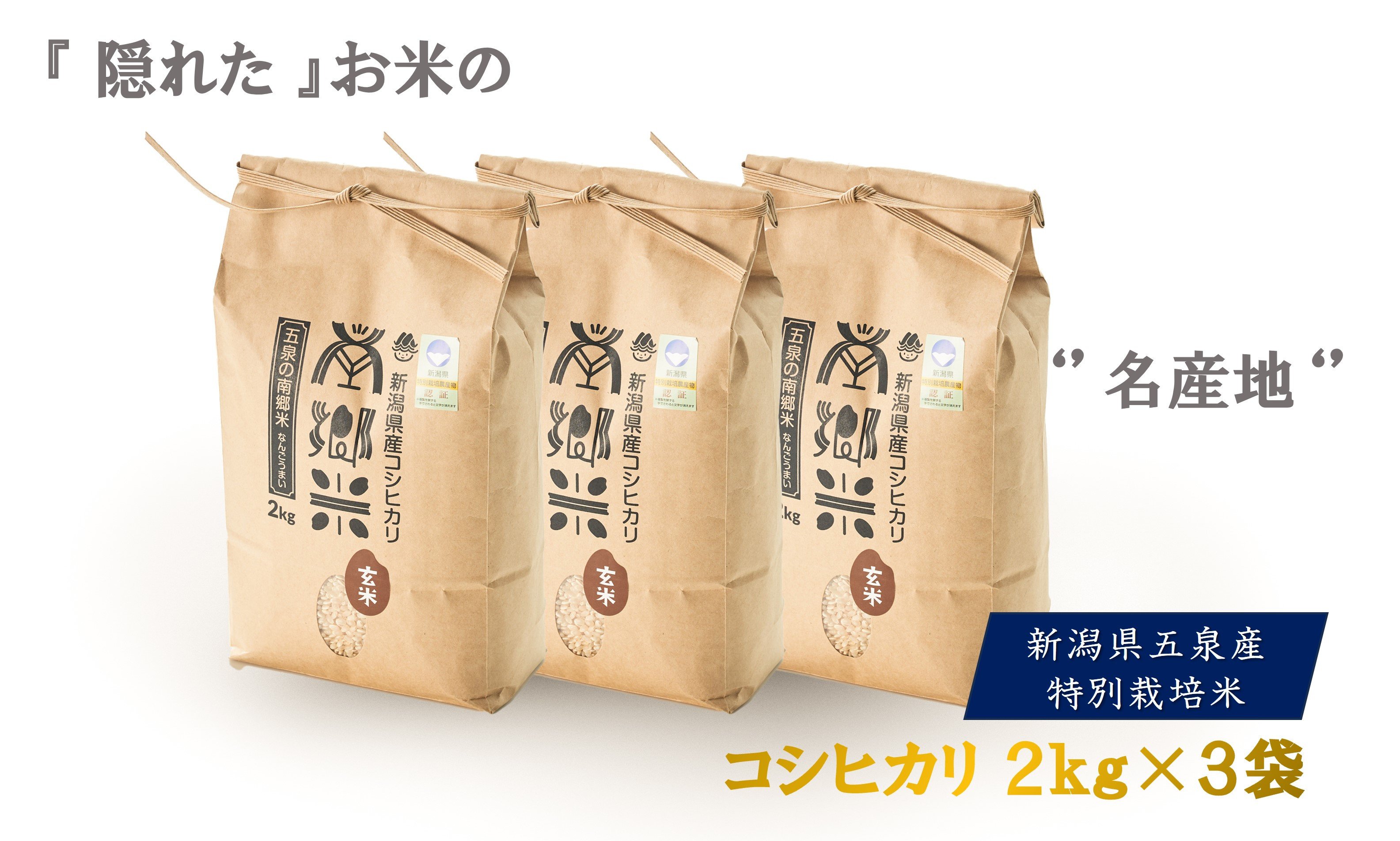 
【先行予約】令和6年産 特別栽培米 新潟県五泉産コシヒカリ 「南郷米」 玄米 6kg 新潟県 五泉市 ファームみなみの郷
