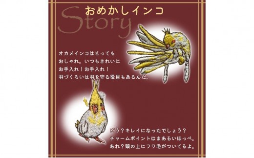 おはなし靴下 ギフトボックス オカメインコ レディース アイボリー