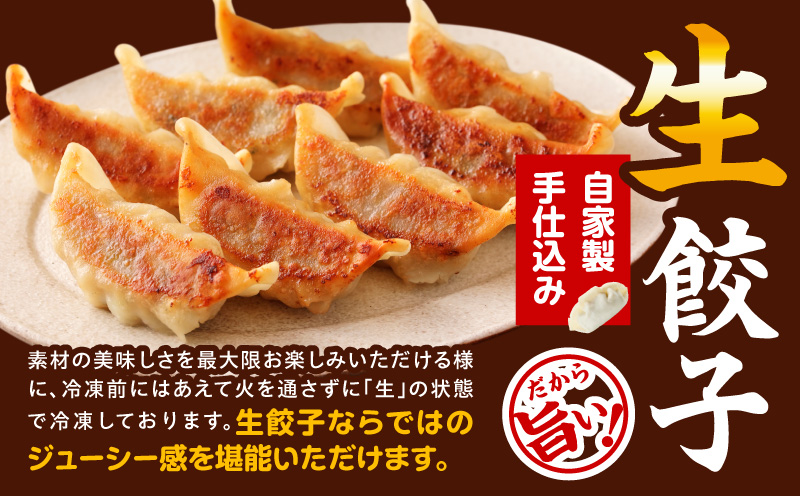 市場で製造直売の餃子! 8パックセット