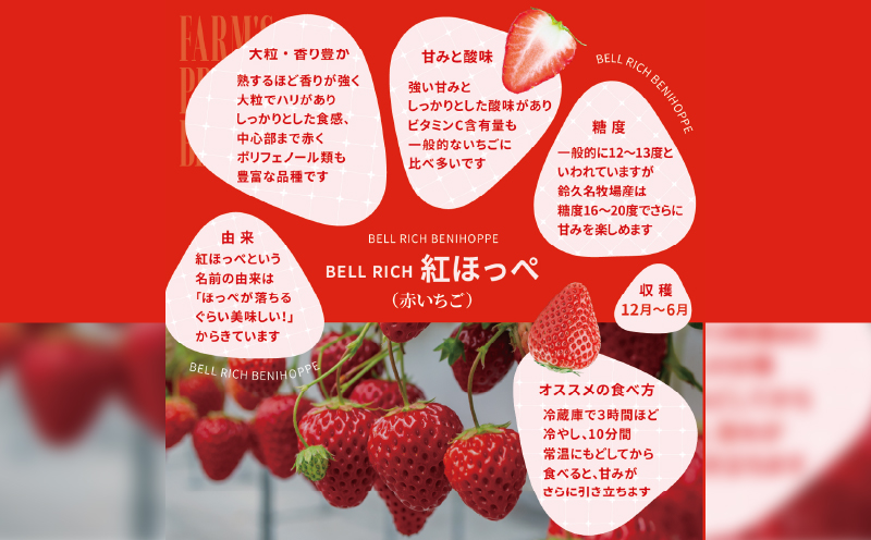 《数量限定》赤白いちごの贅沢食べ比べセット(合計2パック) BELL RICH_H0049-100