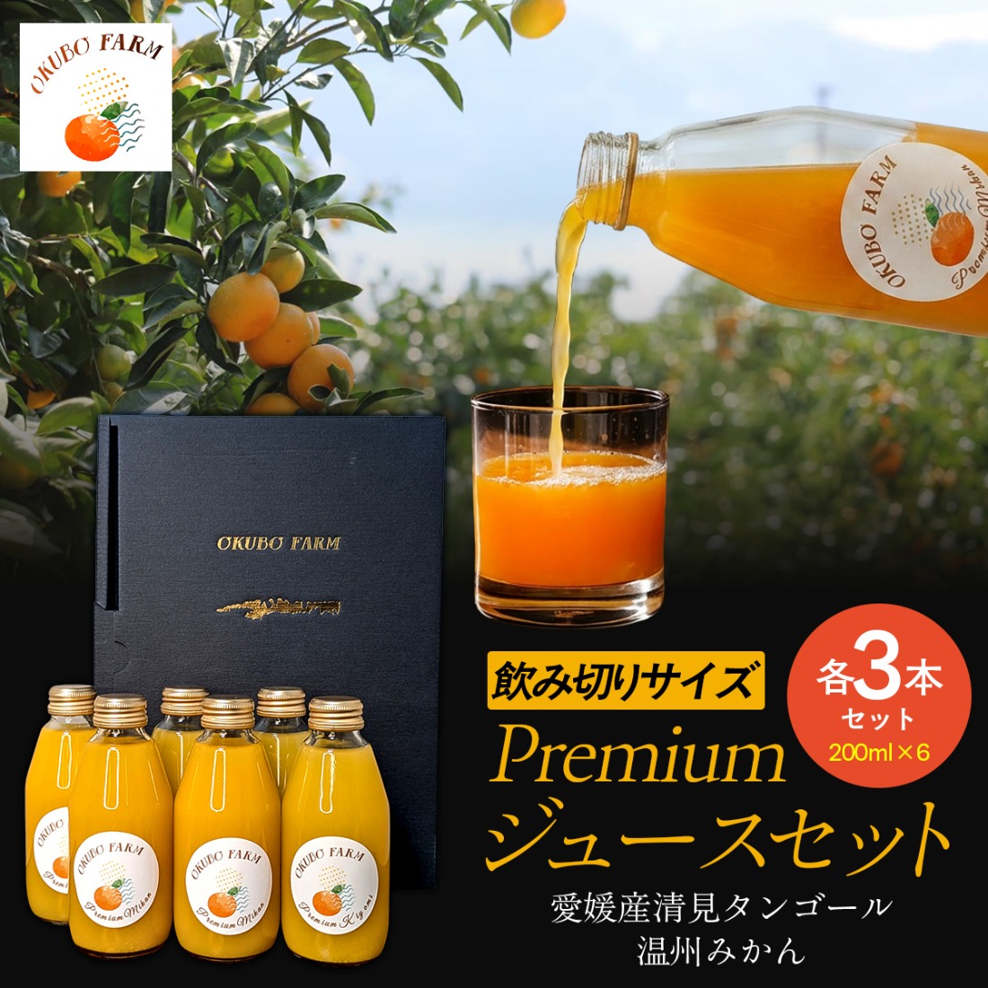 Premiumジュース飲み切りサイズセット IKTAT014