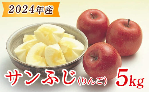 
《 先行予約 》【 令和6年産 】 サンふじ ( りんご ) 5kg ( 約 14 ～18 玉 ) 秀 以上 〔 2024年11月中旬頃 ～ お届け 〕 2024年産 [029-010]
