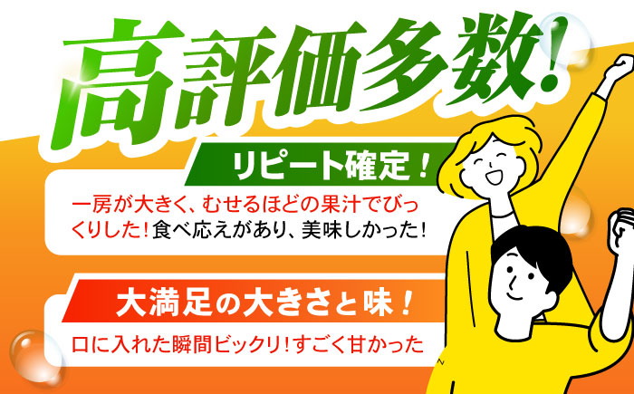 ※【2025年11月発送分／先行予約】伊木力みかん（大玉）10kg / みかん ミカン 蜜柑 フルーツ 果物 / 諫早市 / 山野果樹園 [AHCF005]