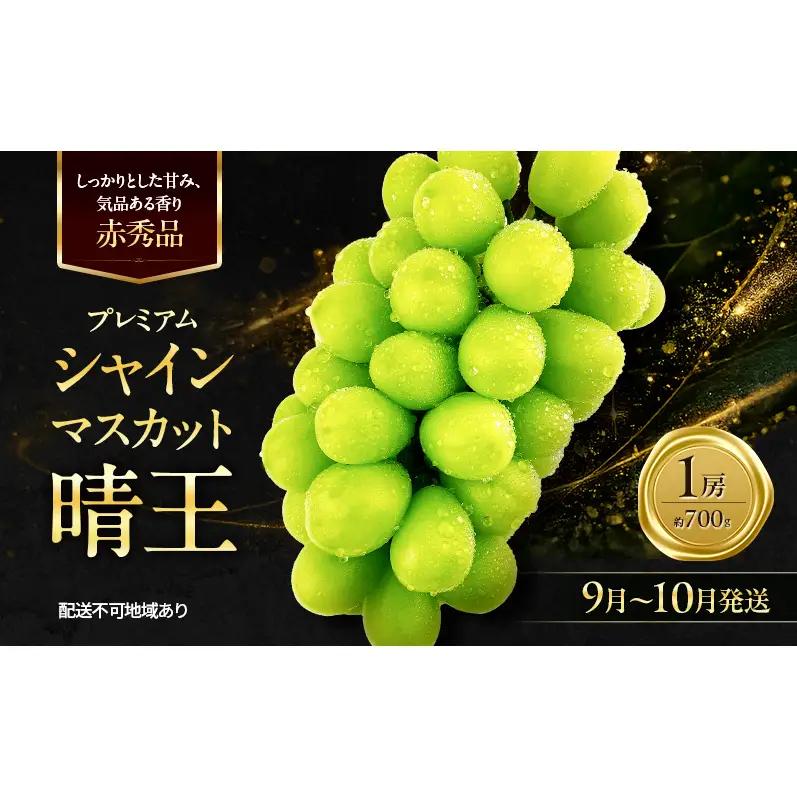 ぶどう 2026年 先行予約 赤秀ぶどう プレミアム シャインマスカット 晴王 1房 700g 9月～10月発送  岡山県産 シャインマスカット