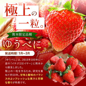 イチゴ 生産量 西 日本一 ‼ 厳選農家直送 いちご ゆうべに 約 1000g | フルーツ 果物 くだもの 苺 いちご  熊本県 玉名市