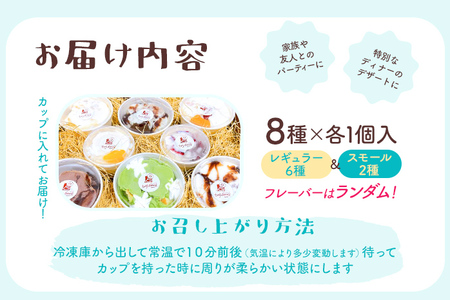 ジェラート 8種入 アイス フレーバージェラート