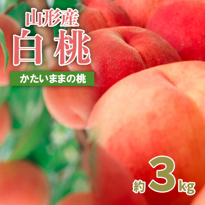 【ふるさと納税】山形の産直所で人気！硬くてカリカリの桃 3kg(5〜12玉) 【令和7年産先行予約】FU21-831 くだもの 果物 フルーツ 山形 山形県 山形市 2025年産