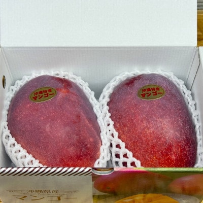 【2026年6月から順次発送・化粧箱】JAおきなわ厳選 秀品アップルマンゴー1kg(2～3玉)【配送不可地域：離島】