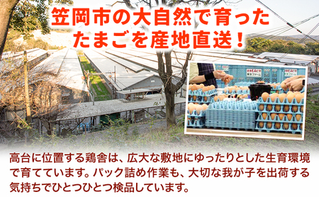 うねめもみじたまご 約80個　卵