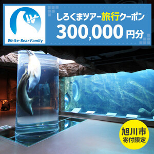 【旭川市】しろくまツアーで利用可能なWEB旅行クーポン (300,000円分) ※メール発行 | 旅行クーポン_05437