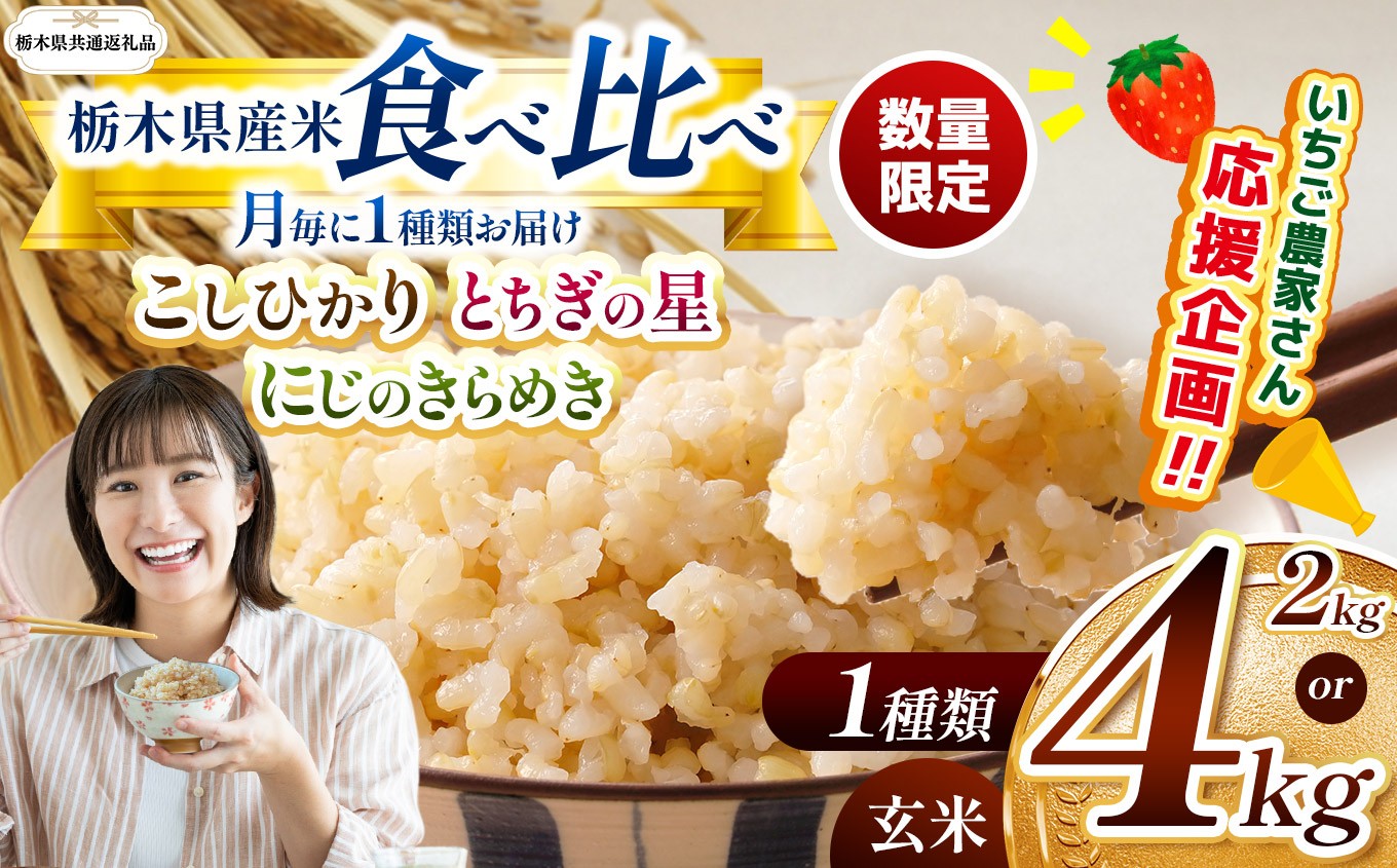 
            【令和7年度新米先行予約】【栃木県共通返礼品】【数量限定】【選べるグラム数】 栃木県産コシヒカリ とちぎの星 にじのきらめき 2kg 4kg 食べ比べ定期便 |定期便 数量限定 こしひかり とちぎの星 ミルキークイーン にじのきらめき 玄米 米 ごはん おいしい  玄米真空パック ふるさと納税 那珂川町 栃木県
          