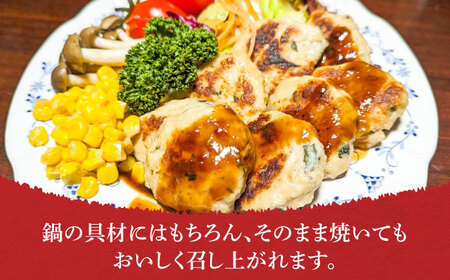 黒のれんつくねセット　《豊前》　【トータルプランニング アクティブ】[VDH001]