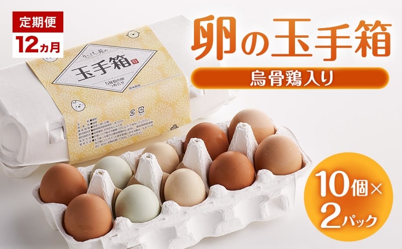 
            定期便 12ヵ月 卵の玉手箱（烏骨鶏入り）10個×2パック たまご 鶏卵 静岡県 森町
          