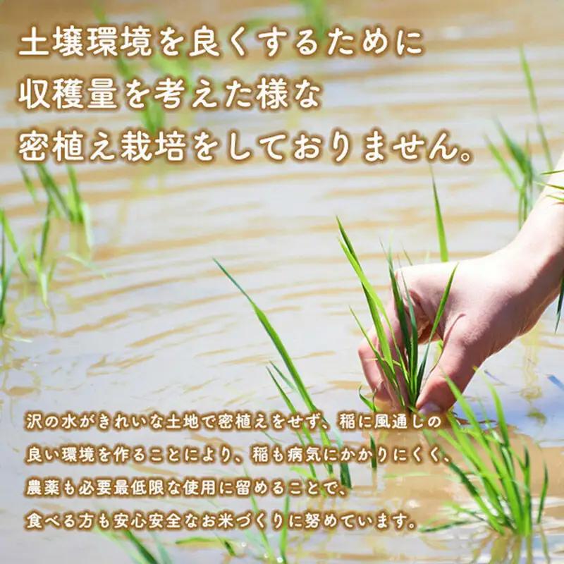 《令和8年産 新米受付》《定期便7ヶ月》あきたこまち 27kg【白米】 秋田県産 こまちライン