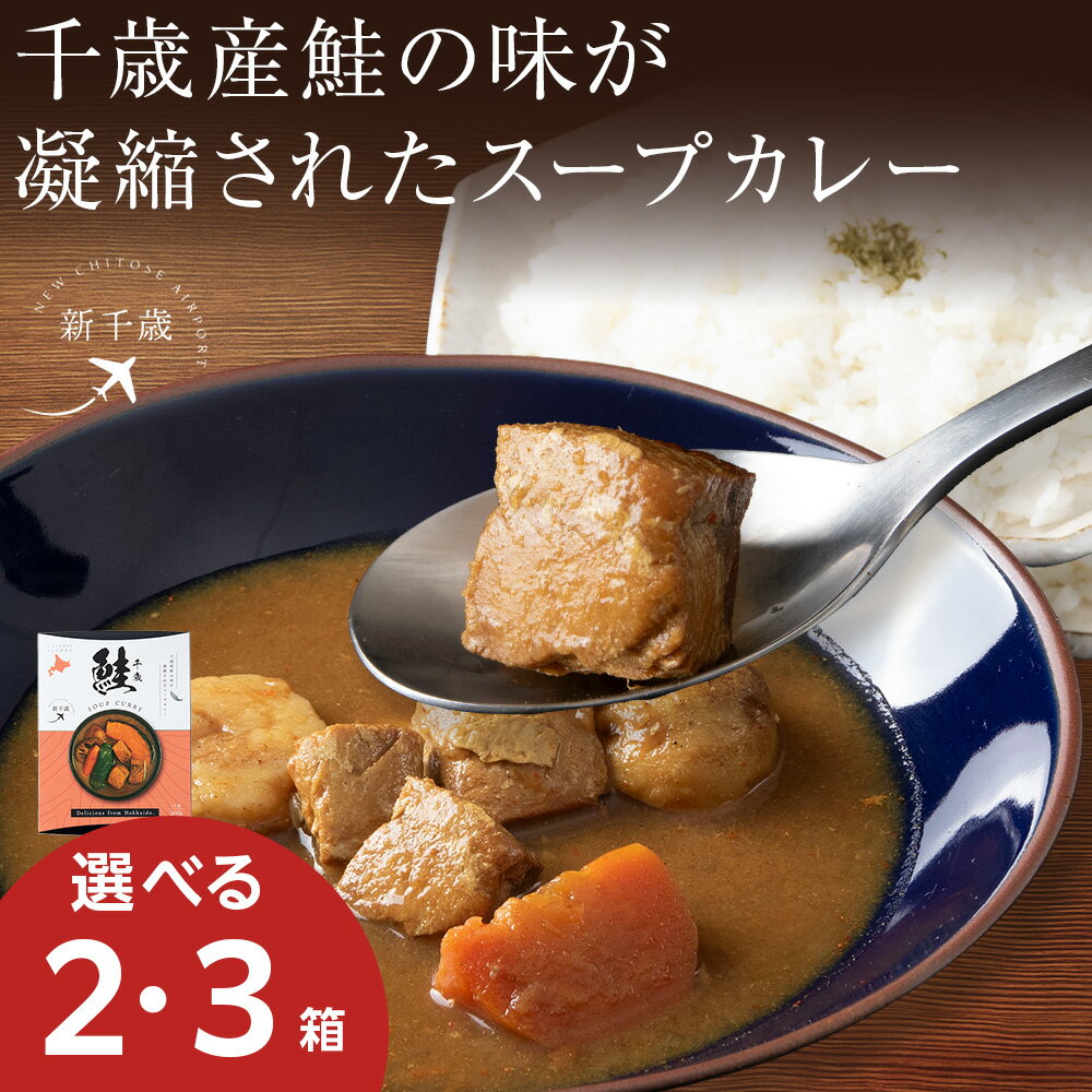 【ふるさと納税】千歳産鮭凝縮のスープカレー（1箱260g） 選べる2～3箱スープカレー ご当地 グルメ ソウルフード レトルト レンジ調理 惣菜 カレー 北海道ふるさと納税 千歳市 【北海道千歳市】ギフト ふるさと納税