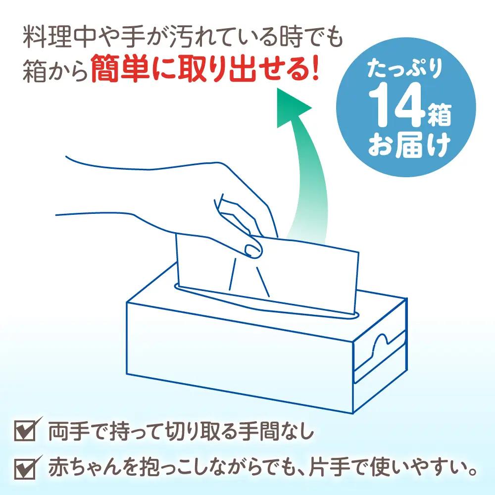 スコッティ キッチンタオルボックス 14箱 [BDBH003-2]