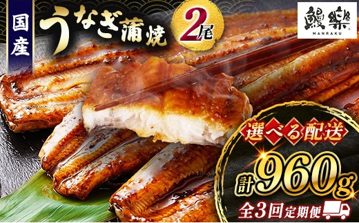 
                  選べる うなぎ 蒲焼 定期便 ＜計3回＞ 鰻 2尾 （計960g） 国産 ウナギ 3か月 連続 隔月 人気 ギフト 贈答品 おすすめ 小分け 宮崎県 高鍋町 名物
                