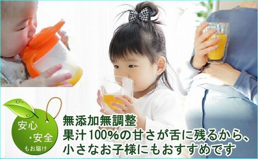 無添加100％みかんジュース 1000ml×1本【平武農園】～蛍飛ぶ町から旬の便り～ BX13_イメージ5