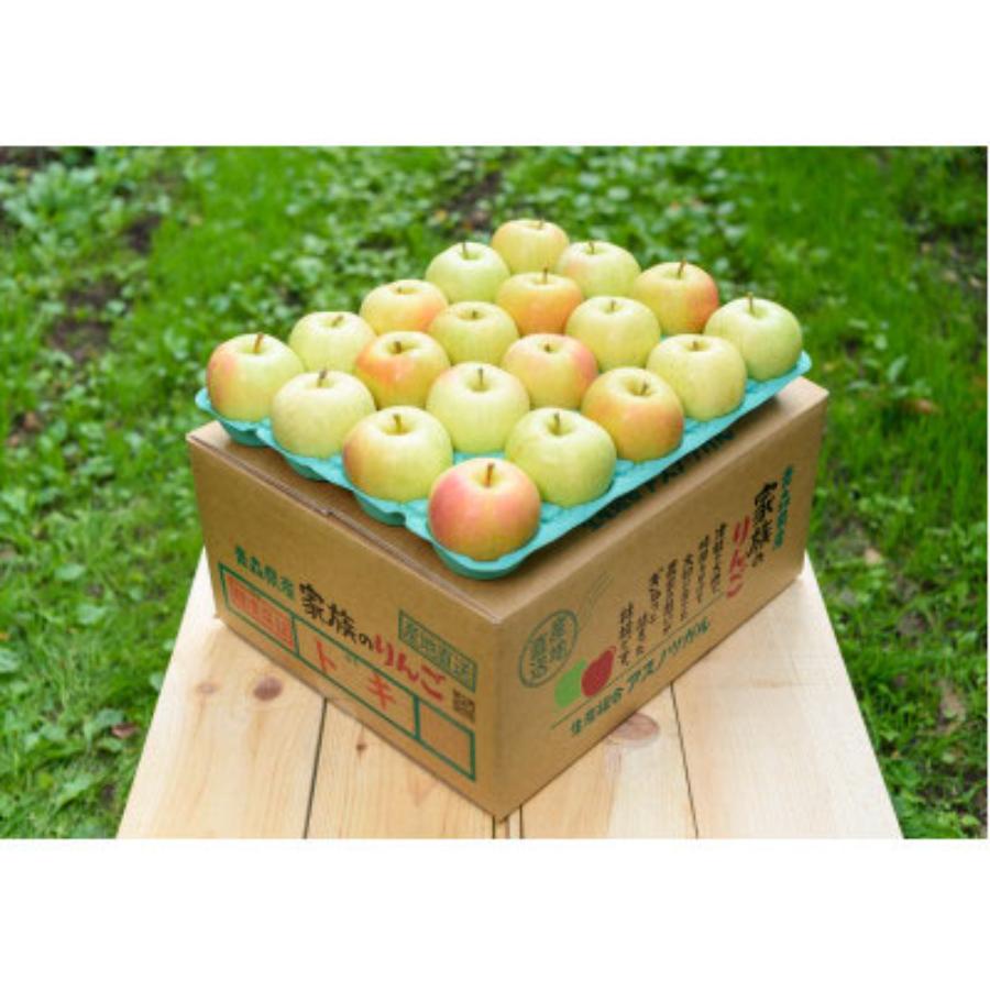 【2026年10月発送予定】平均糖度１２度以上　贈答用トキ10kg