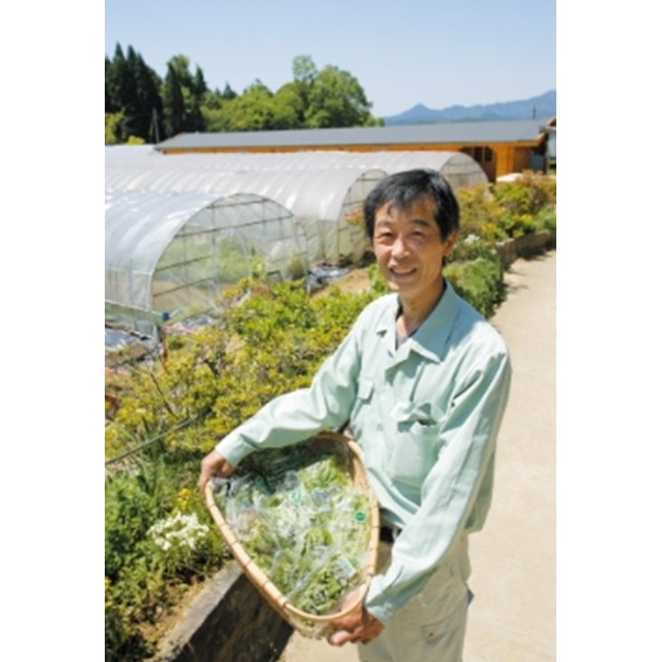 定期便3回 柚子 入浴剤  25包 (5包入×5個) /ウェルネスフーズ UDA ふるさと納税 ゆず 無添加 有機栽培 おすすめ リラックス ストレス解消 ボディケア 肌荒れ改善 疲労回復 送料無料 