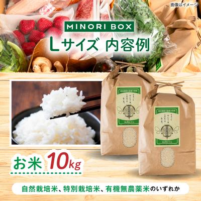 ふるさと納税 糸島市 全3回定期便 糸島産 魚 米 野菜 果物 厳選詰め合わせ MINORI BOX L [AOP028] |  | 01