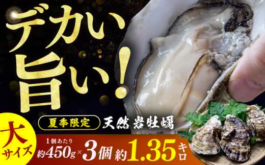 【先行予約】【加福鮮魚】若狭湾　生食用　天然岩牡蠣　大3個（軍手、牡蠣ナイフ付き）【2025年6月下旬より順次発送】  小浜市 / 加福鮮魚  【配送不可地域：北海道・沖縄・離島】  [BFBC008] 