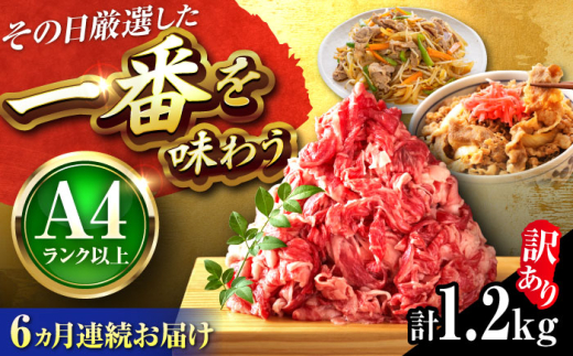 【全6回定期便】【訳あり】【A4~A5】博多和牛 切り落とし 1.2kg(600g×2P) 吉富町/株式会社MEAT PLUS [BGAB093] 国産 和牛 ブランド牛 切り落とし 赤身 小分け きりおとし福岡県