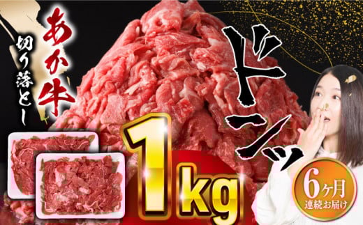 【全6回定期便】熊本県産 あか牛 切り落とし 合計6kg (500g×2P) 熊本 赤牛 褐牛 あかうし 褐毛和種 肥後 冷凍 国産 牛肉【五右衛門フーズ】[YBZ007]
