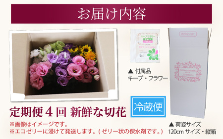 【定期便4回】花農家直送 新鮮な切花【春 夏 秋 冬】 / 生花 お花 旬の花束 豊かな生活 花のある生活 15本程度 2種 季節 年4回お届け