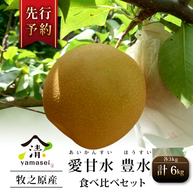 【ふるさと納税】 梨 食べ比べセット 愛甘水 豊水 各3kg×2 予約受付 7月中旬より順次発送 フルーツ なし ほうすい あいかんすい 果物 安心 おいしい 国産 山清 yamasei 静岡県 牧之原市