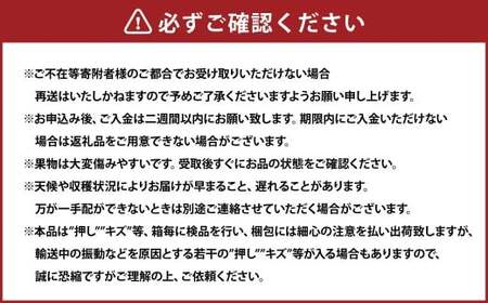 岡山県産 ニューピオーネ 4房 （1房480g以上） 約2kg 【2026年8月下旬-10月上旬迄発送予定】 ／ 葡萄 ぶどう 果物 果実 フルーツ 種なし 岡山県 美咲町 冷蔵
