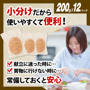 冷凍 ハンバーグ 1.2kg 無添加ハンバーグ ハンバーグ ハンバーグ ハンバーグ ハンバーグ ハンバーグ