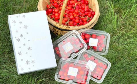 先行予約 北海道産 佐藤錦 800g バラ 秀品 Lサイズ以上 サクランボ 朝採り 当日発送