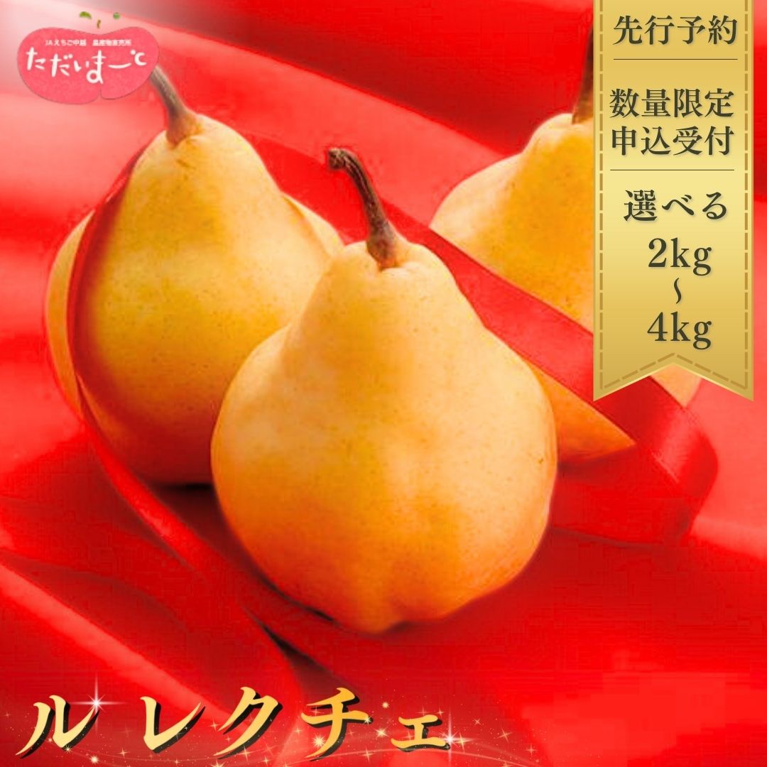 【ふるさと納税】[2026年産先行予約] ル レクチエ 2kg 3kg 4kg 選べる容量 令和8年度 洋梨 新潟県産 ル・レクチェ 洋梨の貴婦人 [JAえちご中越]【010S139】