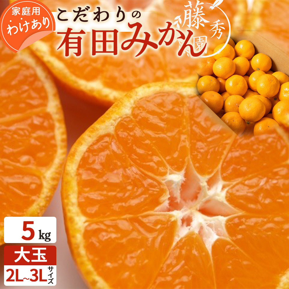 
            ZT6300_【2025年先行予約】こだわりの 有田みかん 大玉 5kg (2L～3Lサイズ)【訳あり 家庭用】
          
