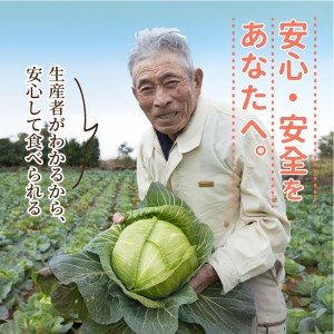 野菜【旬のお野菜大満足セット】【A8-040】