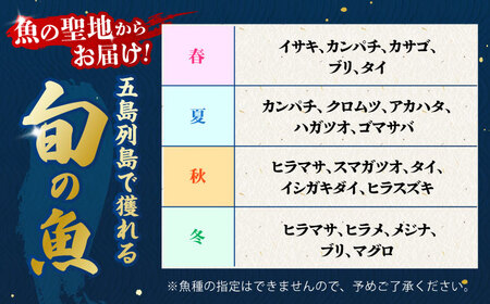 【全3回定期便】金澤仕立て 鮮魚ボックス 旬の魚4種 鮮魚 簡単 旬 海鮮 真空 冷蔵 五島市/金沢鮮魚[PEP015]
