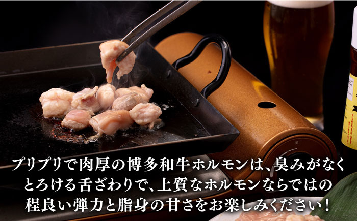 博多和牛 ホルモン 500g 焼き肉 もつ鍋用＜株式会社くしだ企画＞那珂川市 [GZI010]