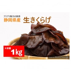 【静岡県産】生きくらげ　1kg