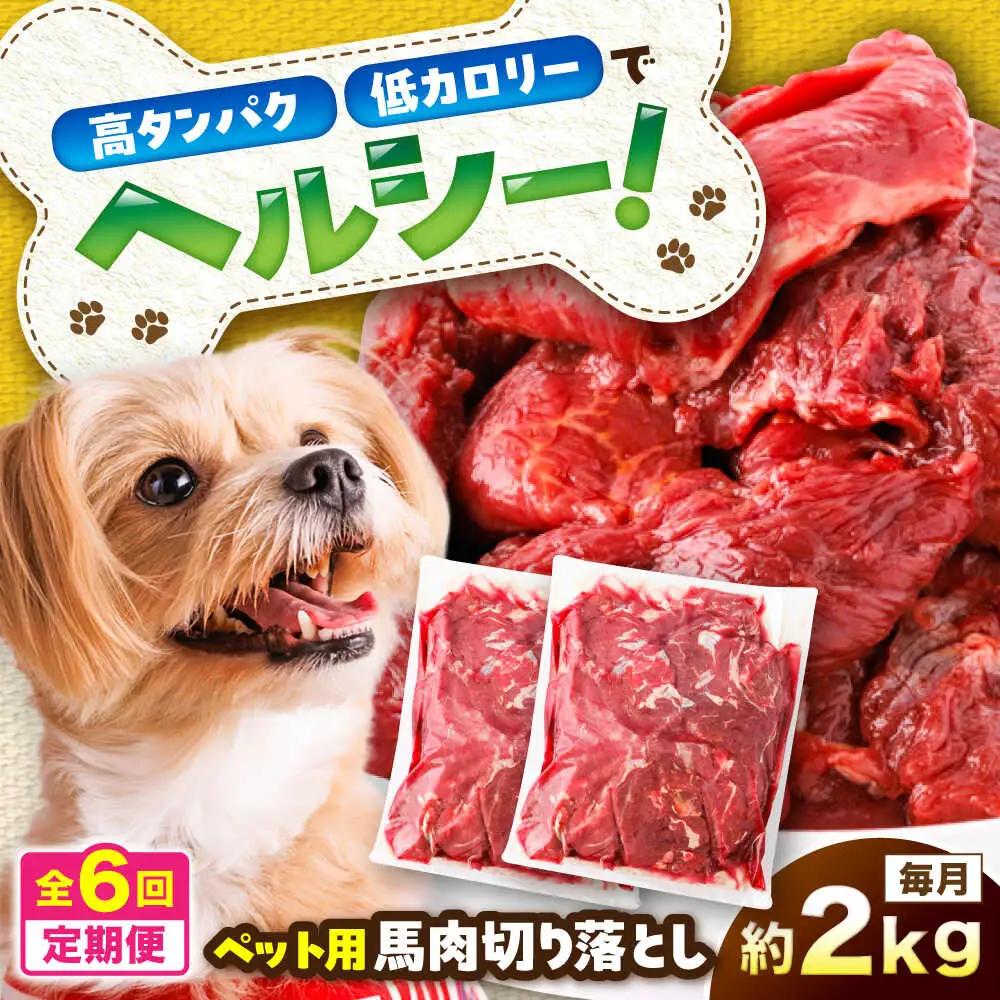 【全6回定期便】国内加工 ペット用 馬肉 切り落とし 約2kg ペット用 BHCY059