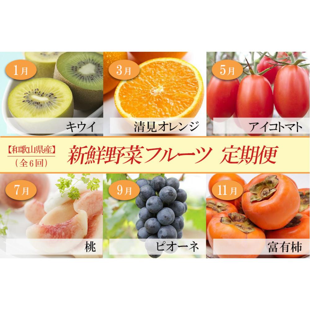 【ふるさと納税】和歌山の旬の果実を 奇数月にお届け全6回定期便（キウイ・清見オレンジ・ミニトマト・桃・ピオーネ・富有柿）【TM62】 | フルーツ 果物 くだもの 食品 人気 おすすめ 送料無料
