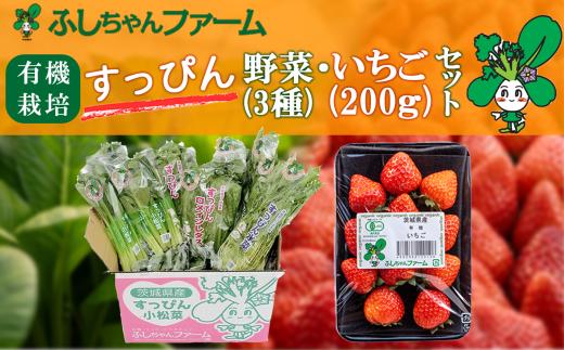 すっぴん有機やさい・いちごセットA【 茨城県 つくば市 いちご 苺 イチゴ 恋みのり 小松菜 ロメインレタス 水菜 鍋 鍋もの 野菜 ベジタブル 有機野菜 有機栽培 無農薬 有機農業 オーガニック 自然 果実 フルーツ 果物 希少 】