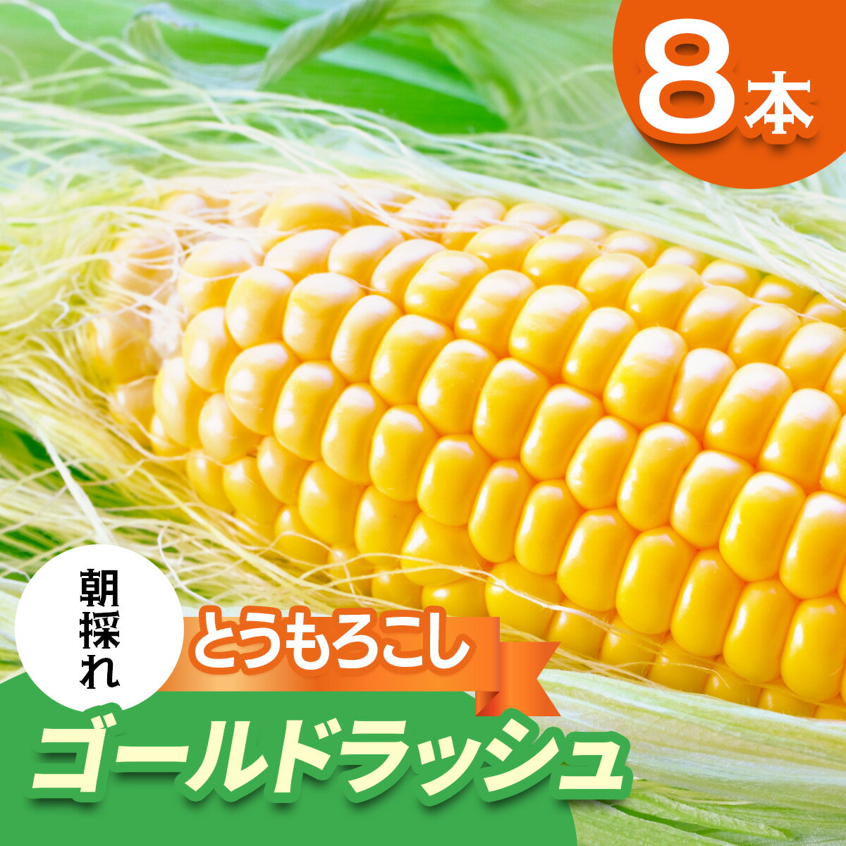 【ふるさと納税】[期間限定]朝採れ とうもろこし ゴールドラッシュ 平安山農園【6月発送】 ｜旬 新鮮 野菜 トウモロコシ 直送 甘い 高糖度 人気 お取り寄せ 袖ケ浦 房総 千葉 [0731r]