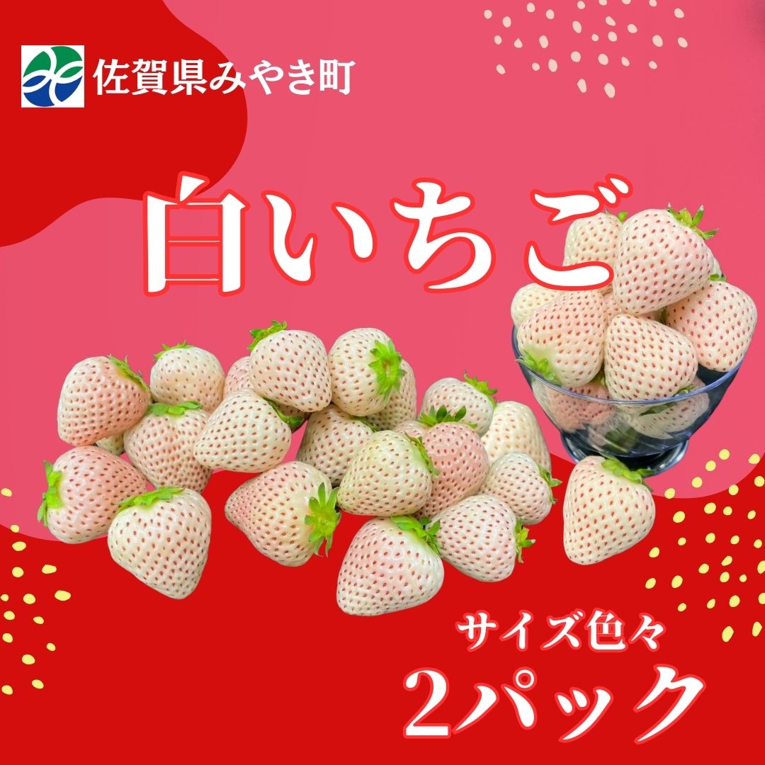 【ふるさと納税】【2025年11月中旬～2026年4月発送】白いちごサイズ色々2パック（GF009）