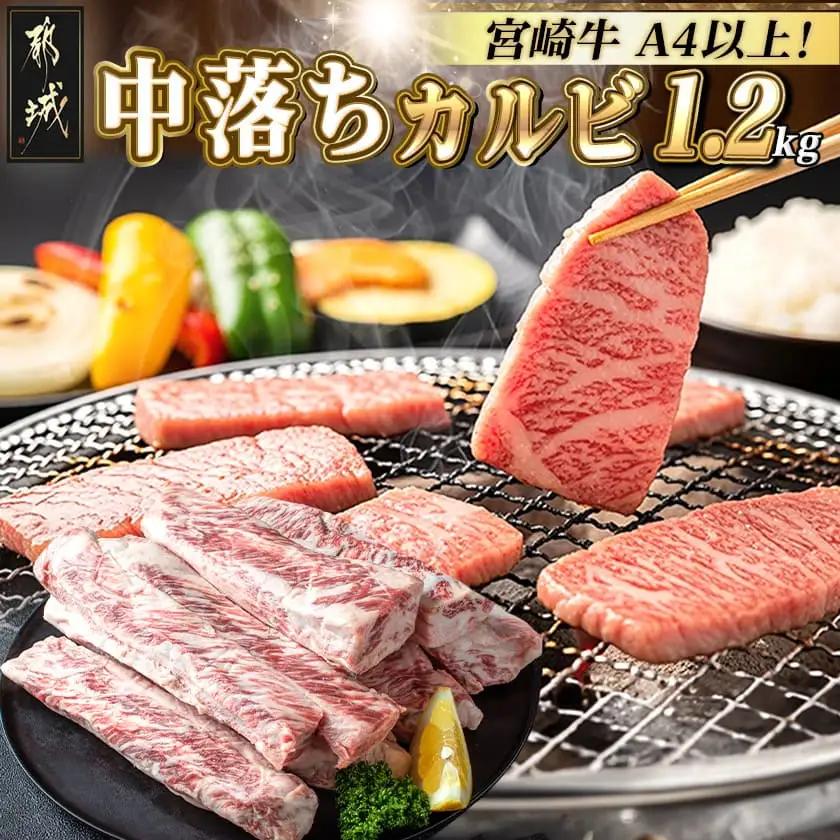 宮崎牛中落ち1.2kg_MJ-2509_(都城市) 宮崎県産宮崎牛 A4ランク以上 牛中落ち肉 600g 2パック 牛中落ちカルビ ゲタ 中バラ 国産 牛バラ肉 カレー おでん 煮込み料理