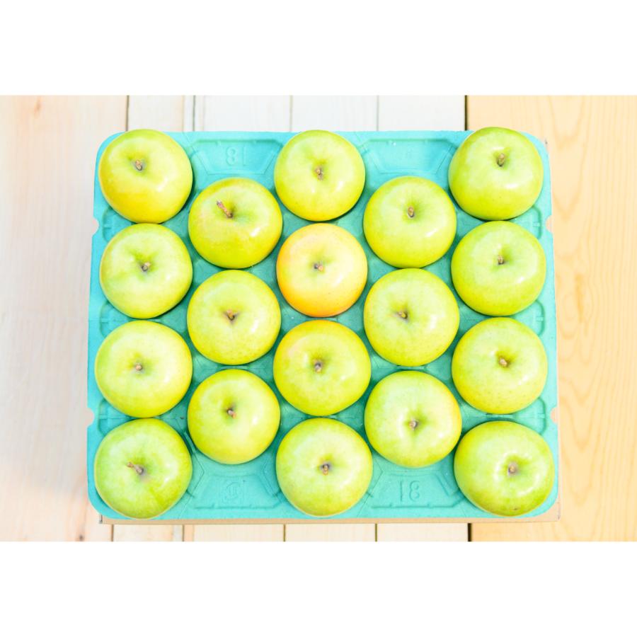 王林贈答用10kg/平均糖度13度以上(2月発送)