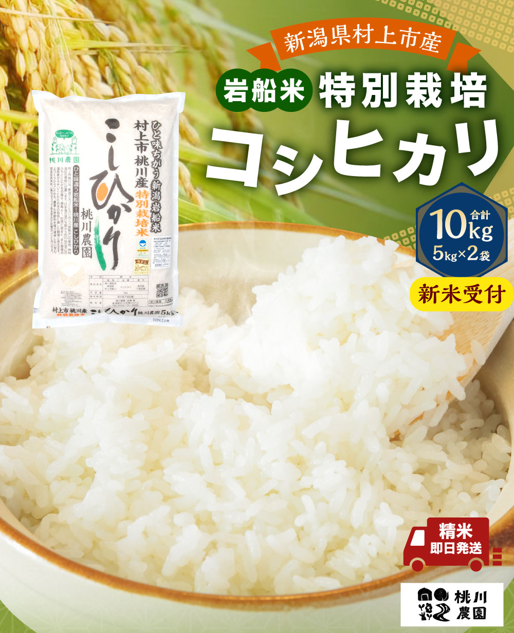 【新米受付・令和8年産米】 新潟県村上市桃川産 特別栽培 コシヒカリ 10kg（5kg×2袋）  NAB4038